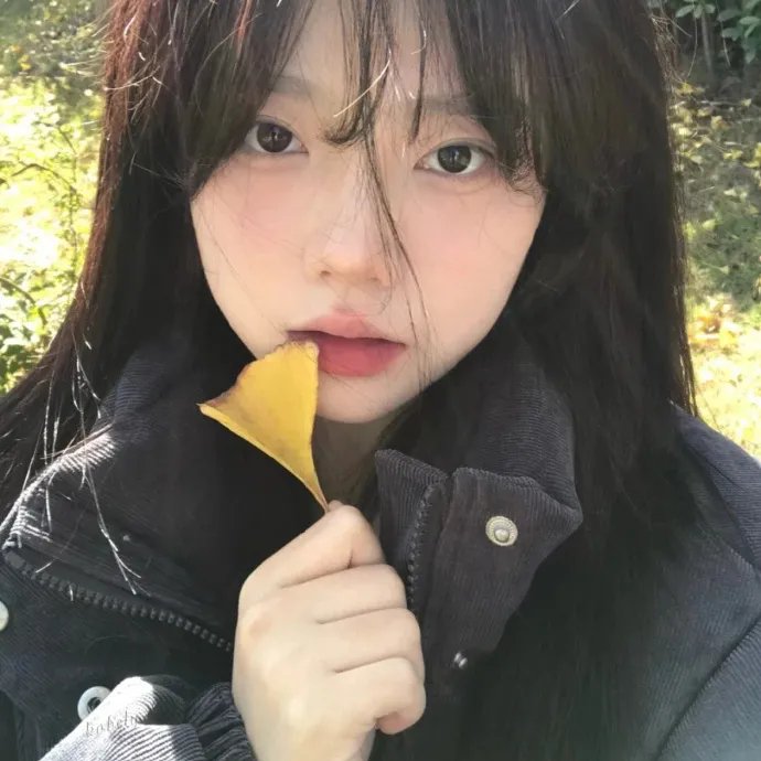 狗狗与我的十个约定